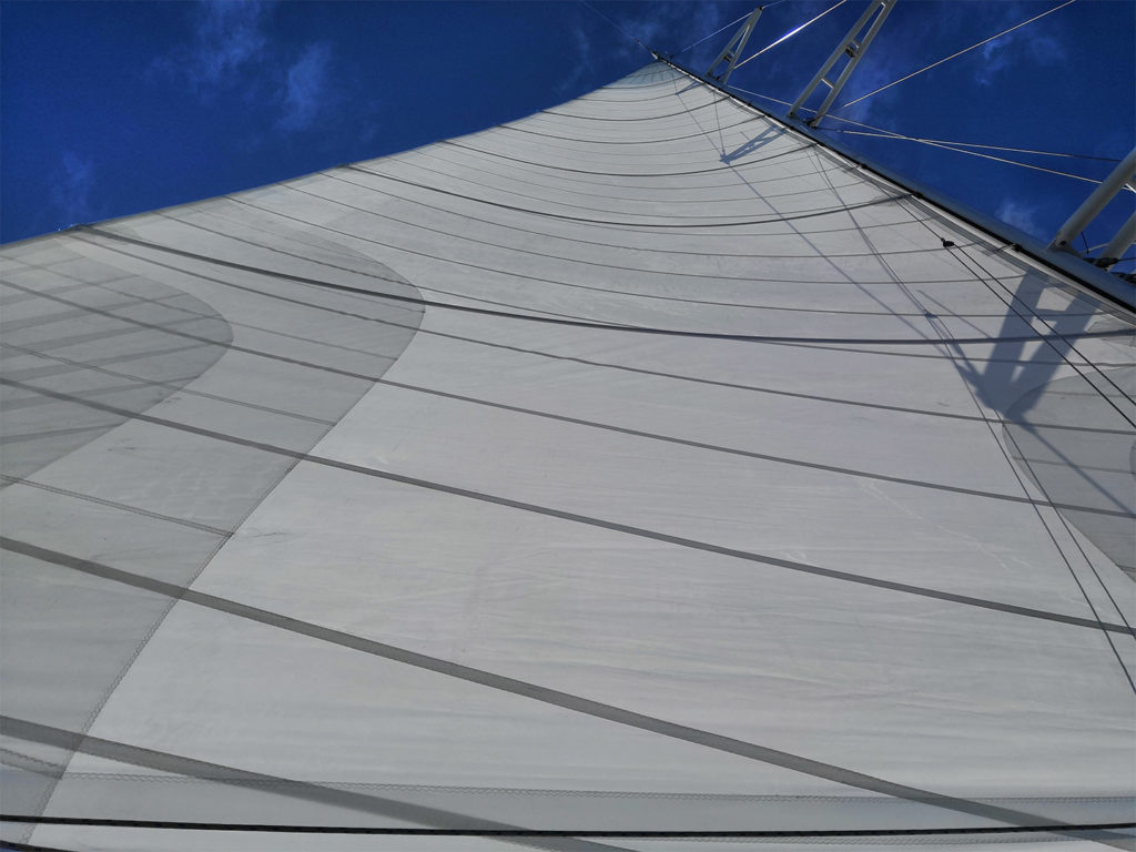 Groupe Beneteau says YES to maritime transport by Sails with NEOLINE
