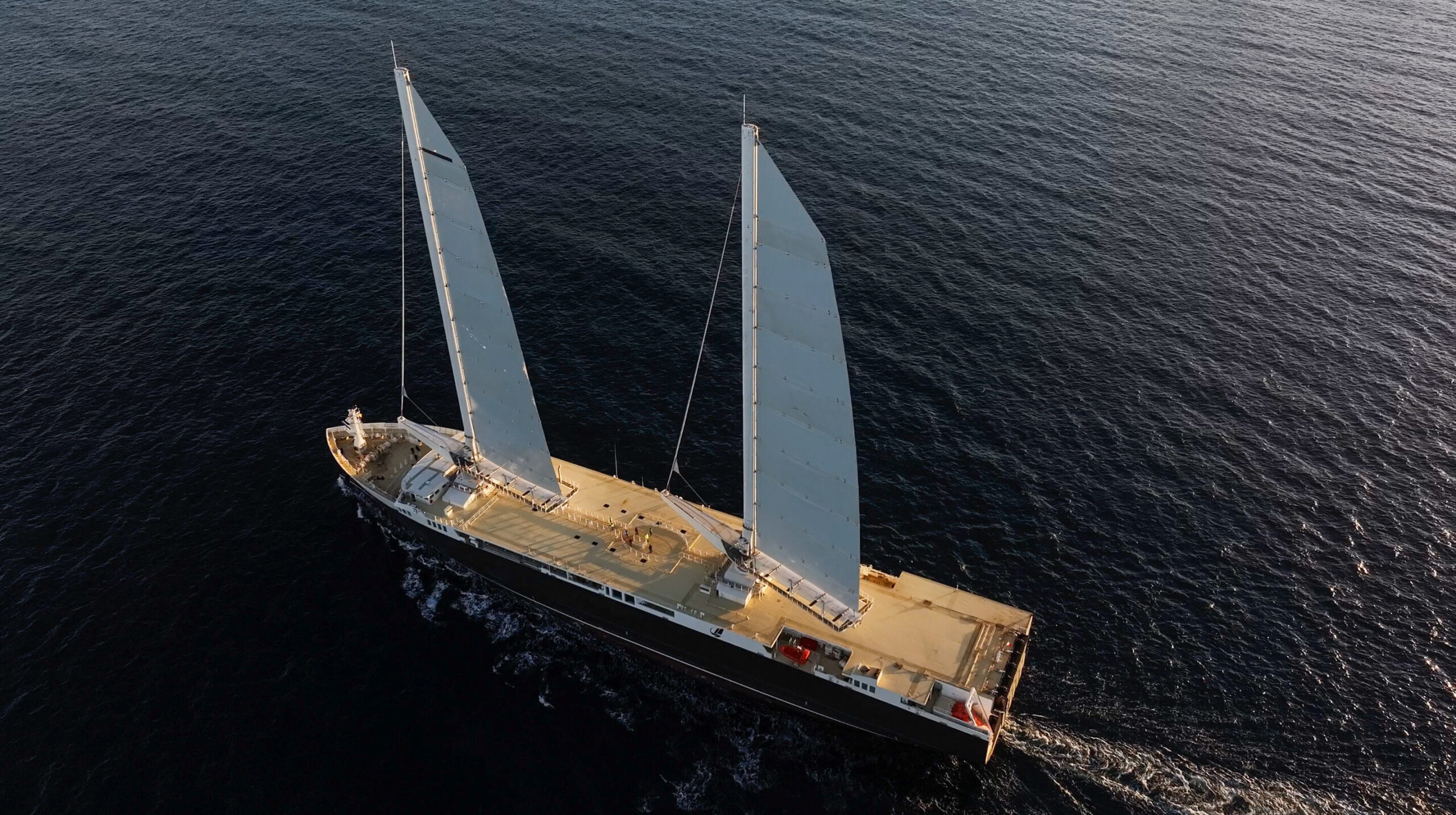 neoline canada montship